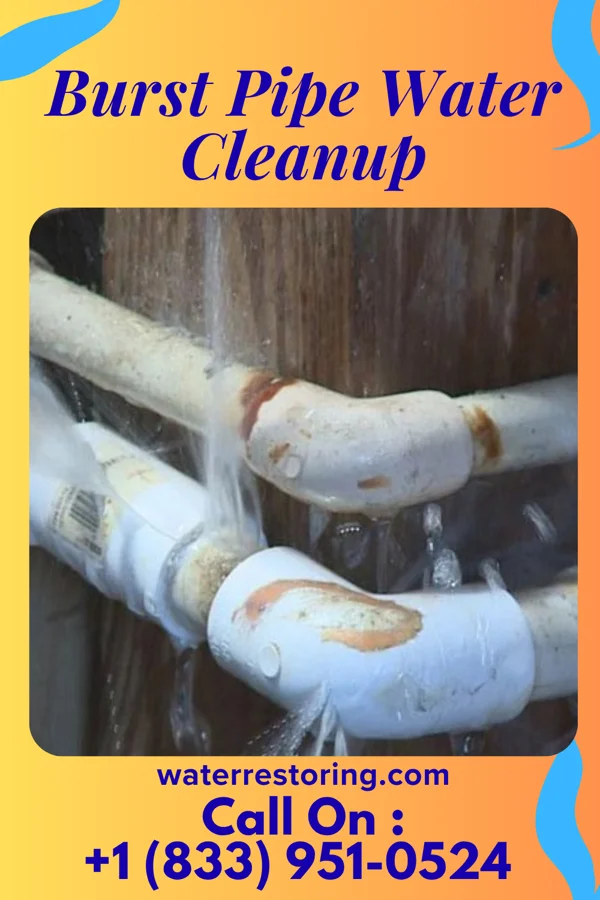 Burst Pipe Water Cleanup in Powder Horn, WY