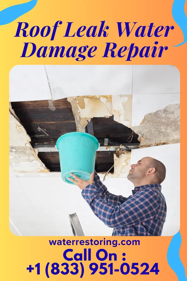 Roof Leak Water Damage Repair in Powder Horn, WY