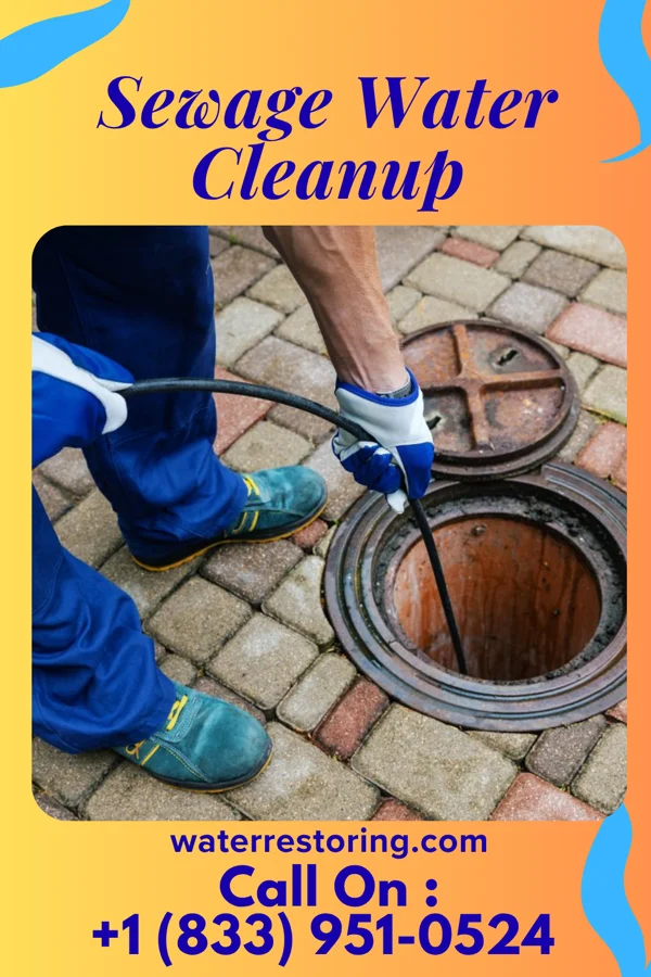 Sewage Water Cleanup in Powder Horn, WY